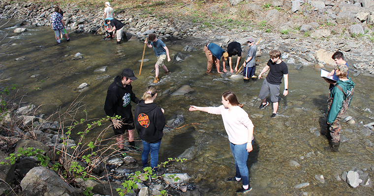 Wide view of students wading in the river