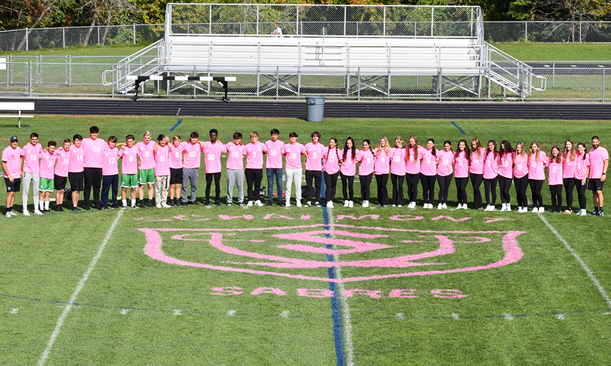 Soccer teams wear pink on field