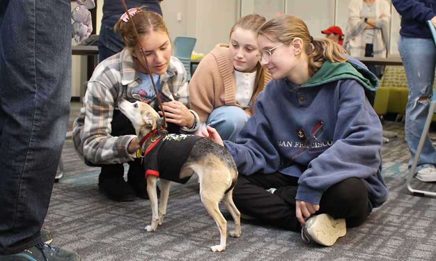 Students with therapy dogs