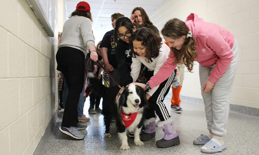 therapy dog visit school