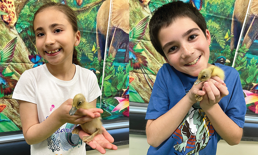 Students hold ducklings