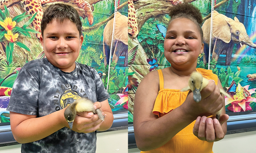 Students hold ducklings