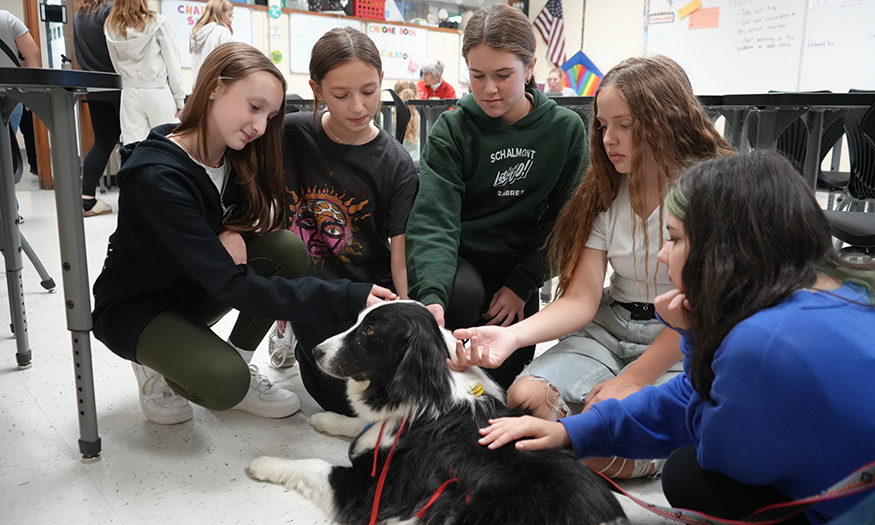 Students pet therapy dog