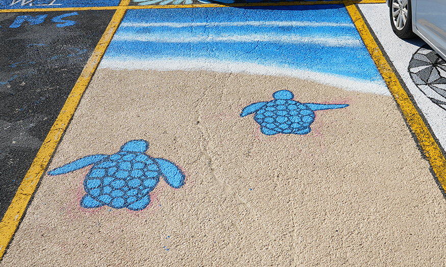 Parking space painted with turtles on beach