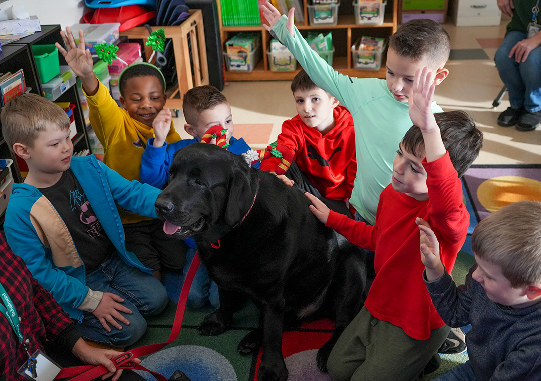 Therapy dogs visit school