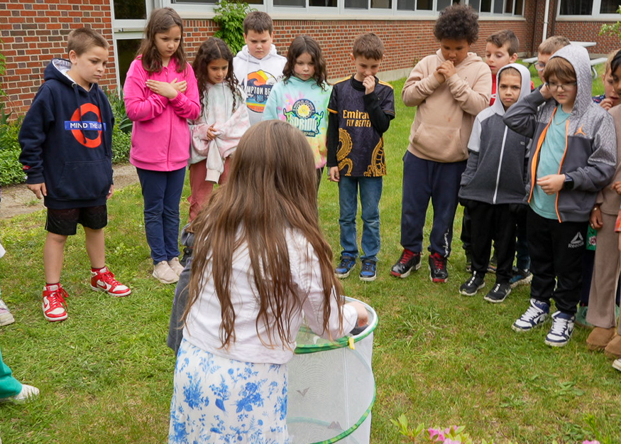 Students watch butterful release