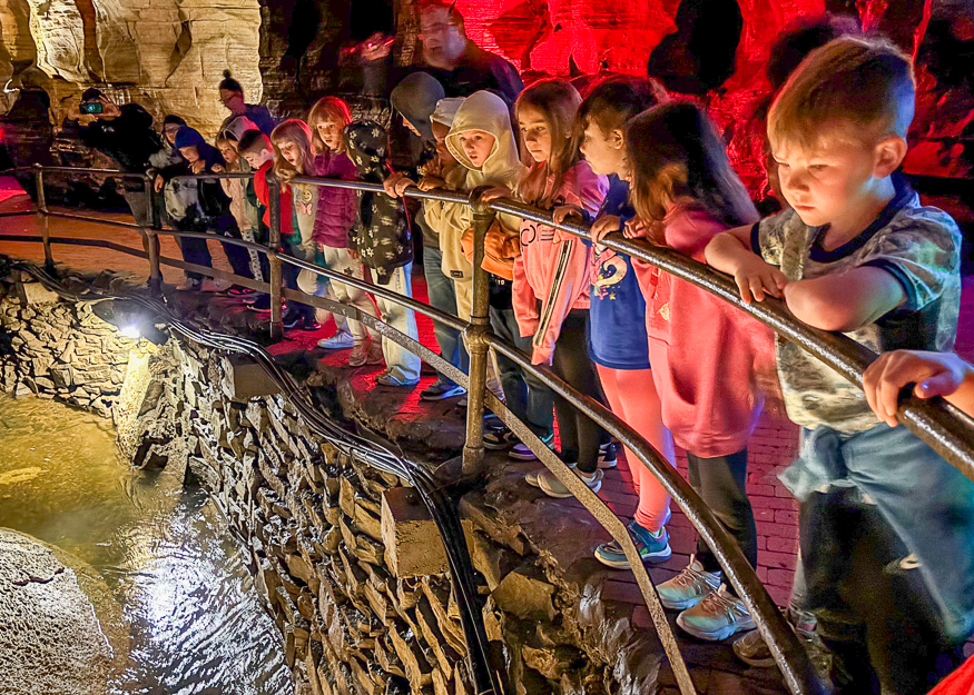 Students look at cave