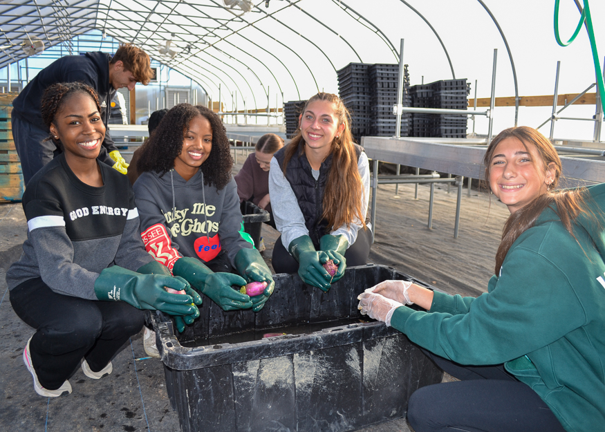 Students volunteer in greenhouse