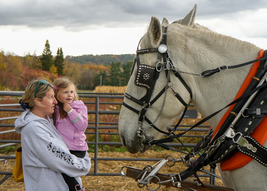 Mom and daughter look at horse