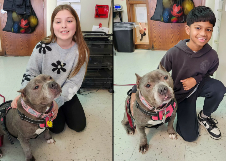 Rescue Dog & Author Visit Class - Schalmont