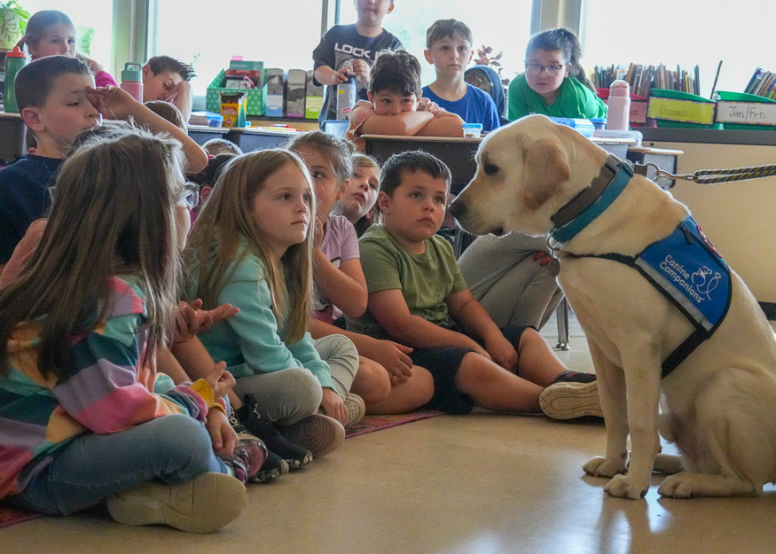 Service dog with students